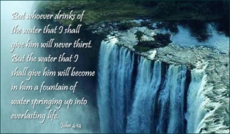 54294-17075-water-of-life.800w.tn.jpg