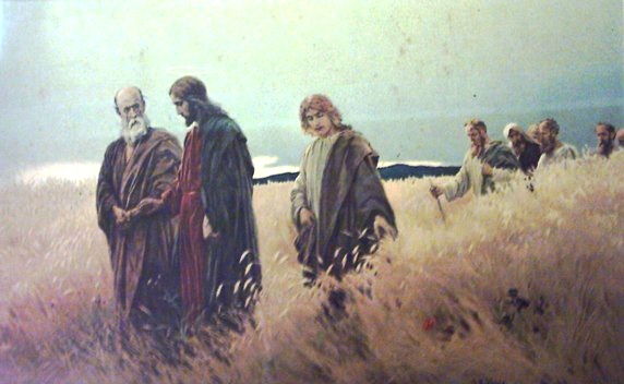 jesus-the-grain-field.jpg