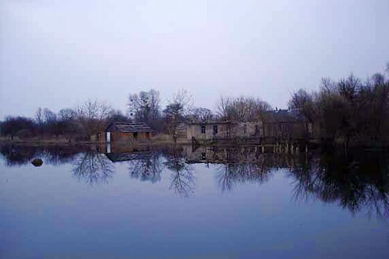 8794bd5c.jpg