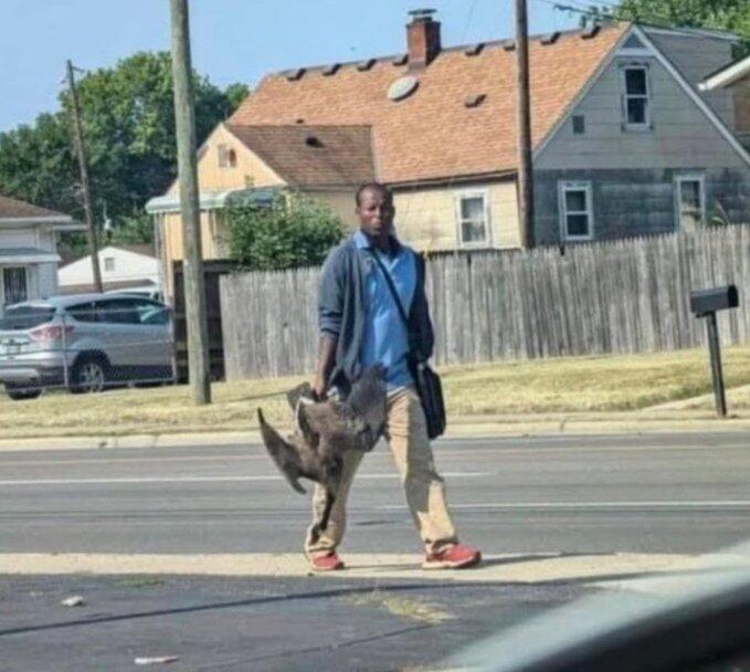 haitians-ducks.jpg