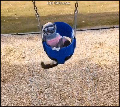 18b1ed56c2565e190e1ac7fd7a4a8775.gif