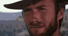 good-bad-ugly-cat.gif