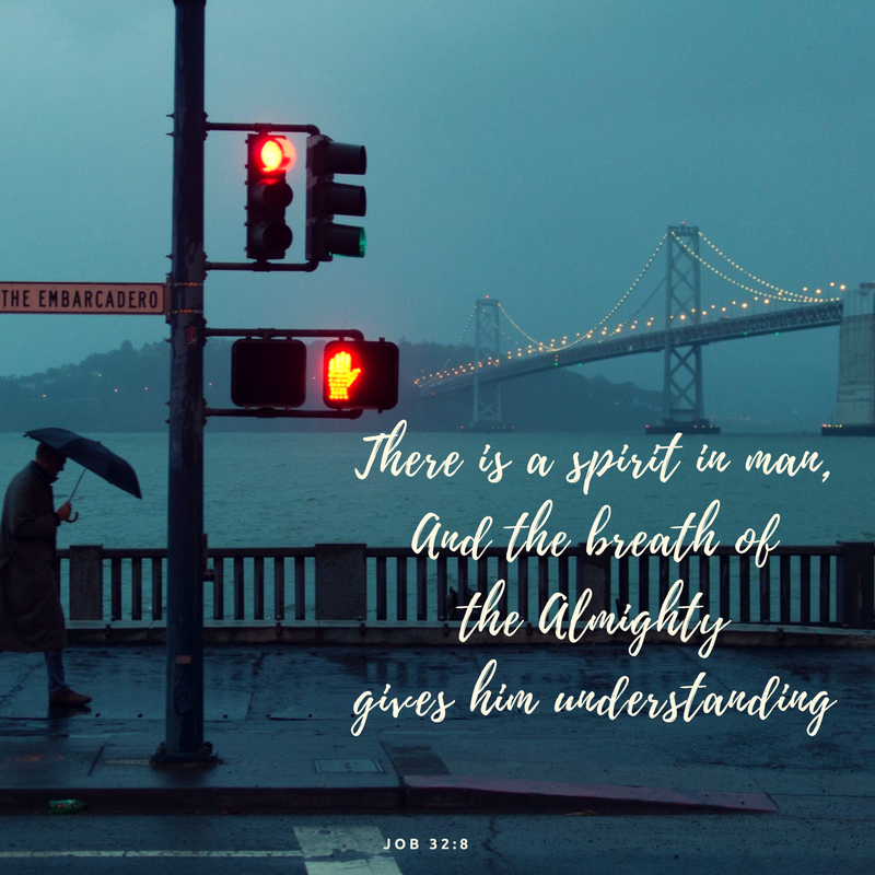 fdef08b814459735f029571acde8d522.png