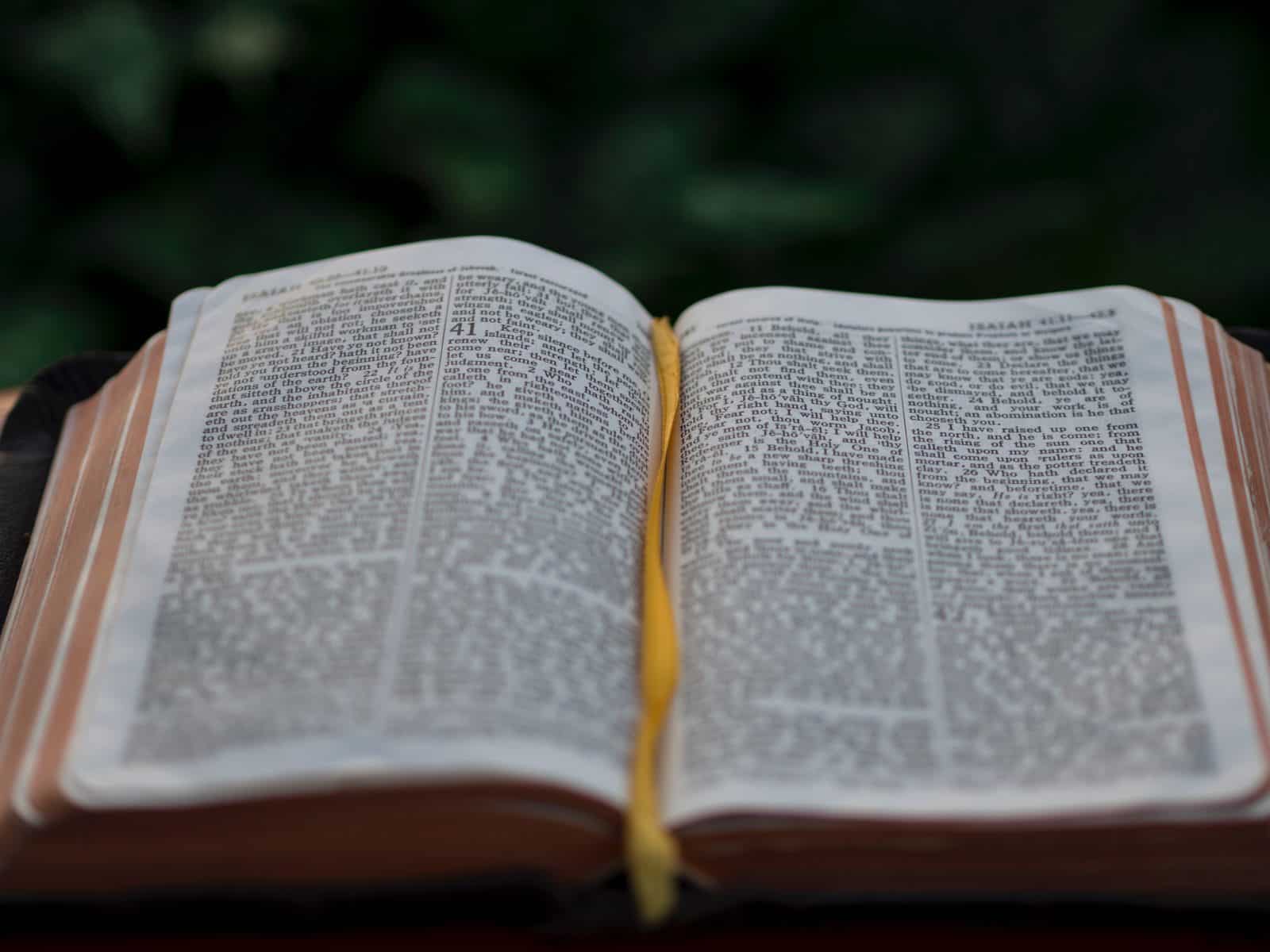 thebiblefornormalpeople.com