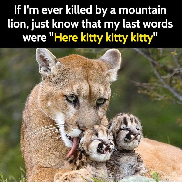 20-funny-clean-humor.jpg