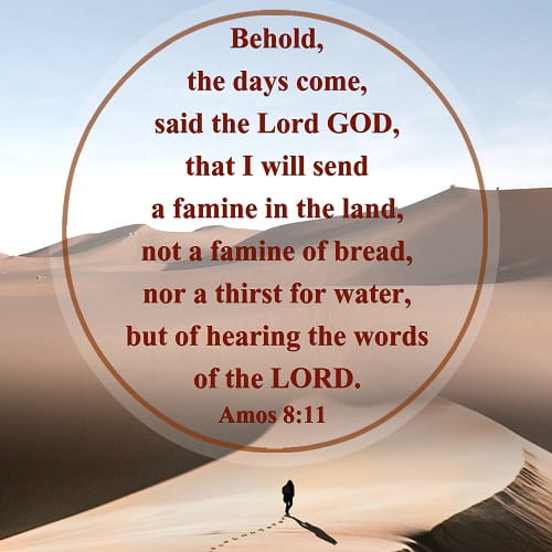 Amos8-11.jpg
