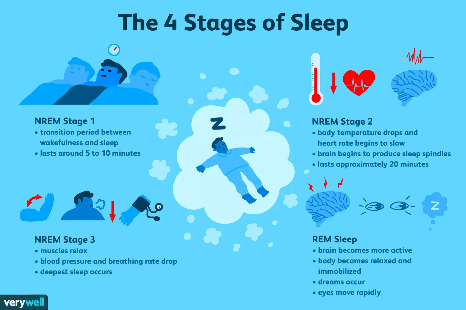 the-four-stages-of-sleep-2795920_FINAL-5c05c2fc46e0fb00018dac3d.png
