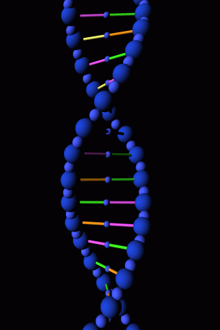 dna-rna-double-helix-rotating-animation-17.gif