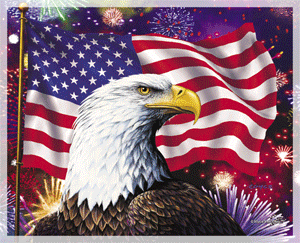 flag-america-usa-41.gif