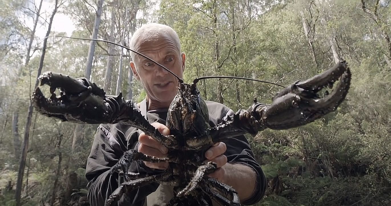 Giant-Crawfish.jpg