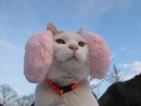 earmuffs.jpg