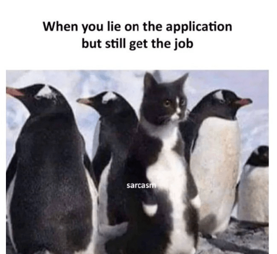 lie-on-application-but-still-get-job-sarcasm