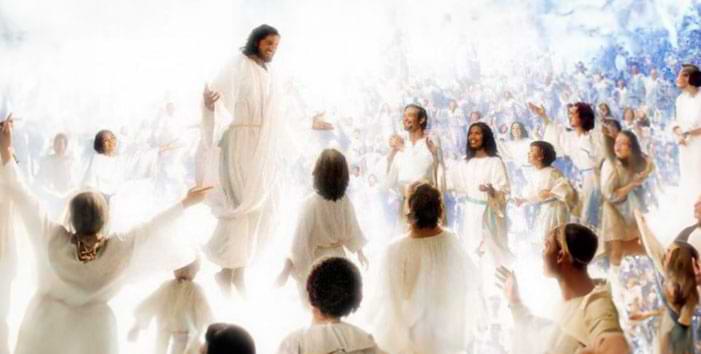 believer.com