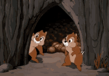 chipmunk-dont.gif