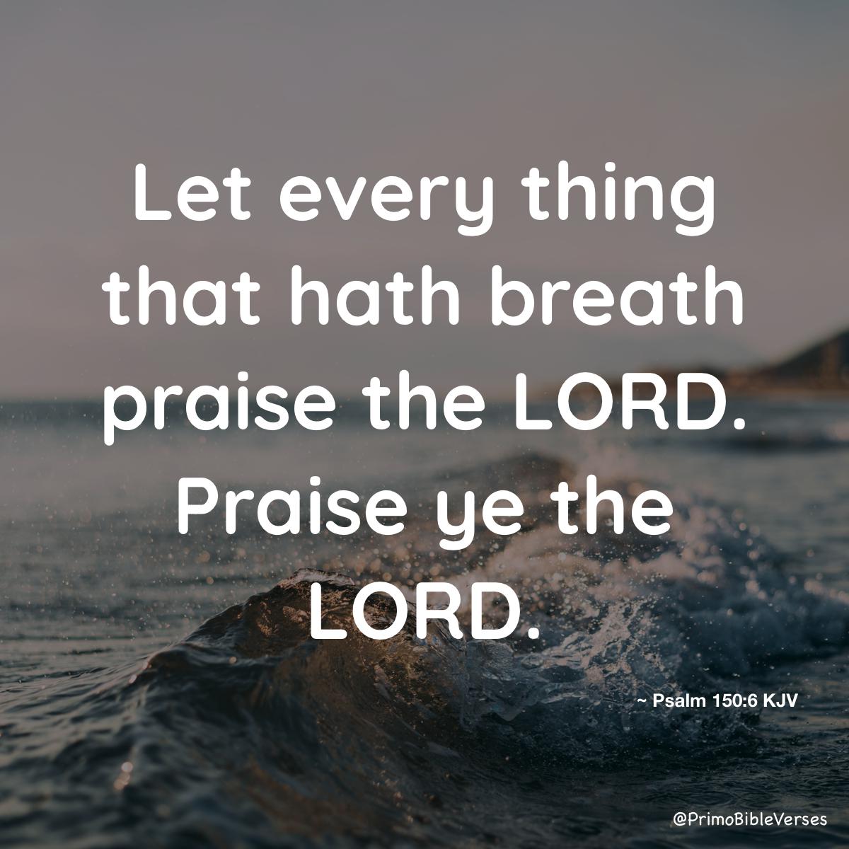 let-everything-that-has-breath-praise-the-lord-praise-the-lord-kjv-4695.jpg