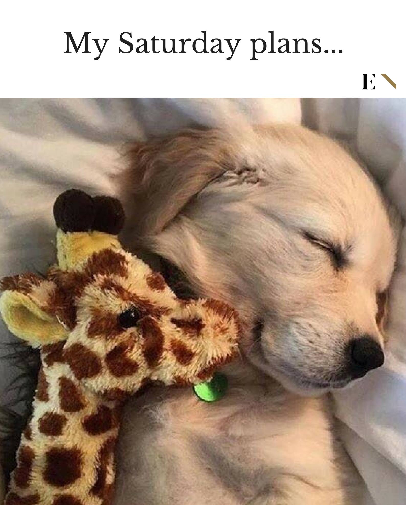 funny-memes-entity.jpg