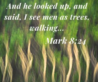 mark-8-24-e1652974314105.jpg