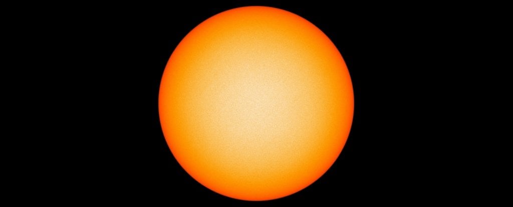 www.sciencealert.com