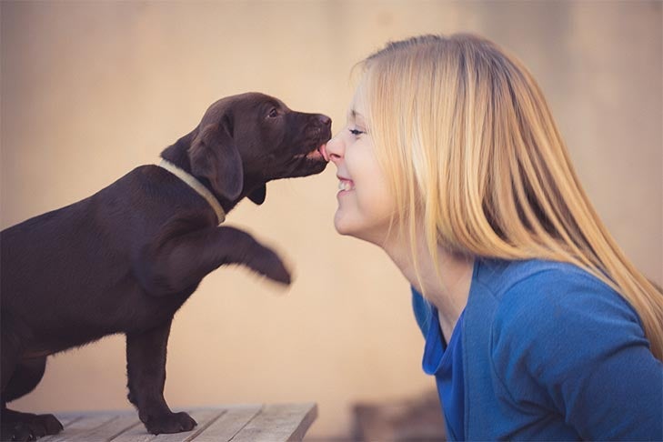 www.akc.org