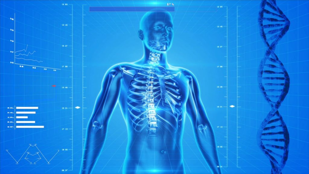 human-skeleton-163715-1024x576-1.jpg