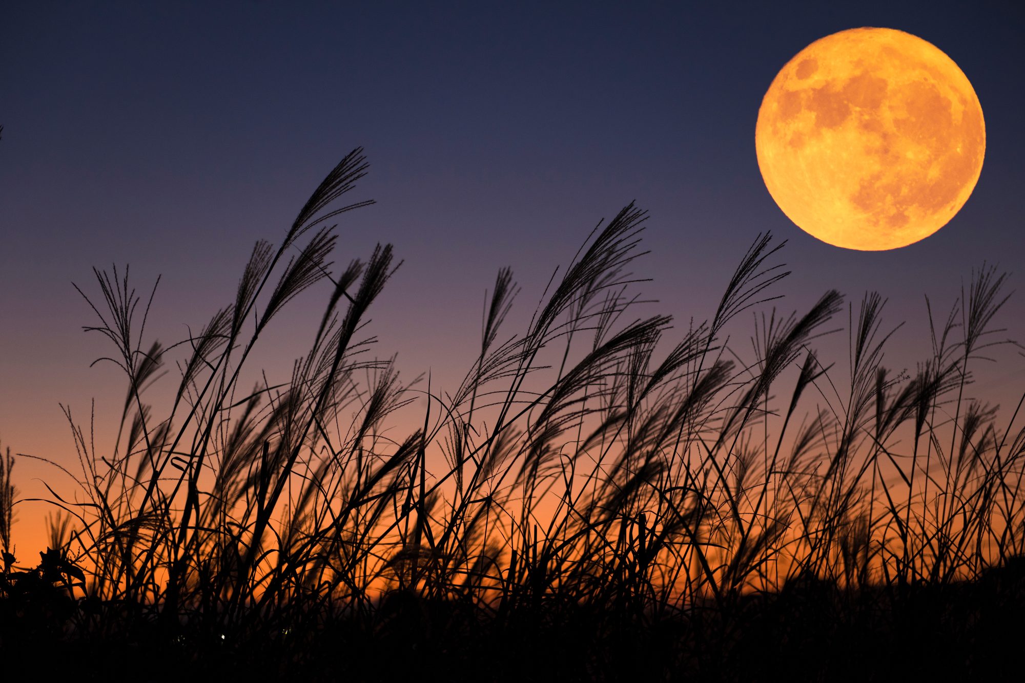 harvest-moon-edit-0922-2000.jpg