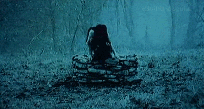 mlltcipvluktiqzq2zib.gif