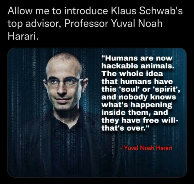 yuval.png