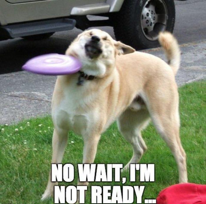 Not-Ready.jpg