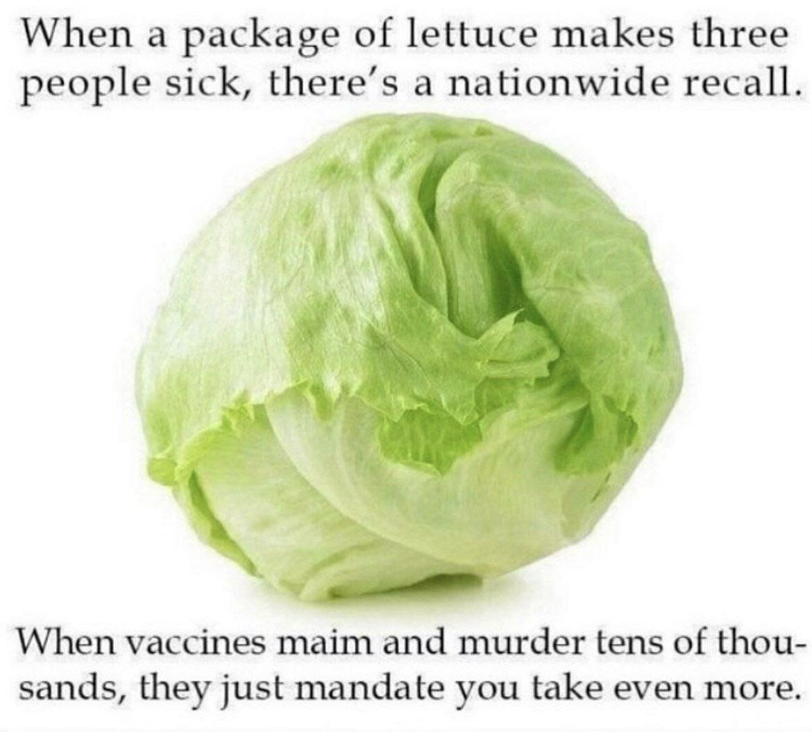 lettuce.jpeg