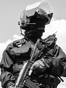 Issues_PoliceState_LRG_250-250x333.jpg