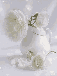 white-white-rose.gif