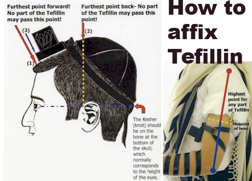 tefillin.jpg