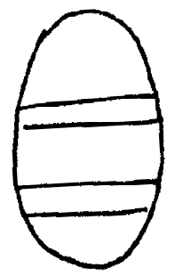 2wci0sx.jpg