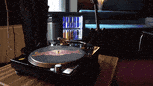 giphy-preview.gif