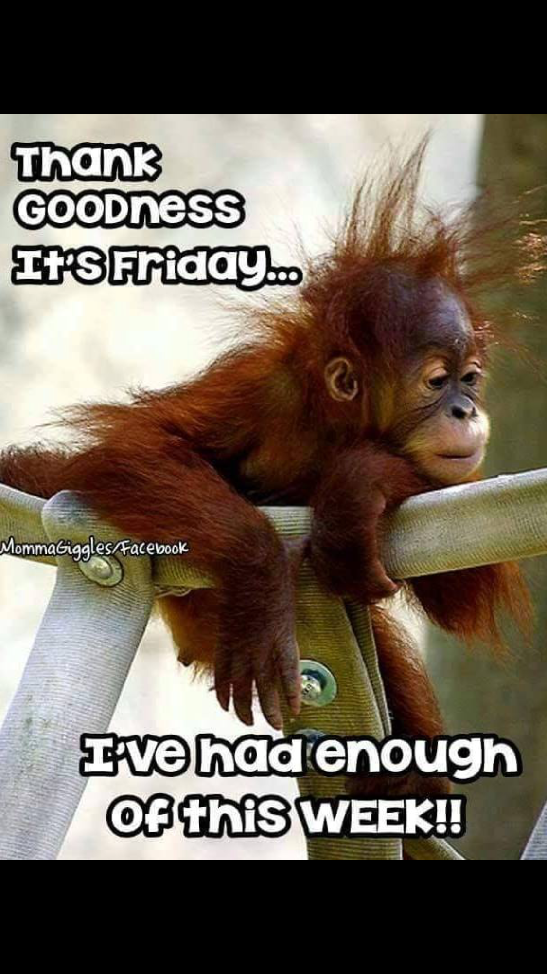 Good-Morning-Friday-Funny-Quotes-Facebook-1.png
