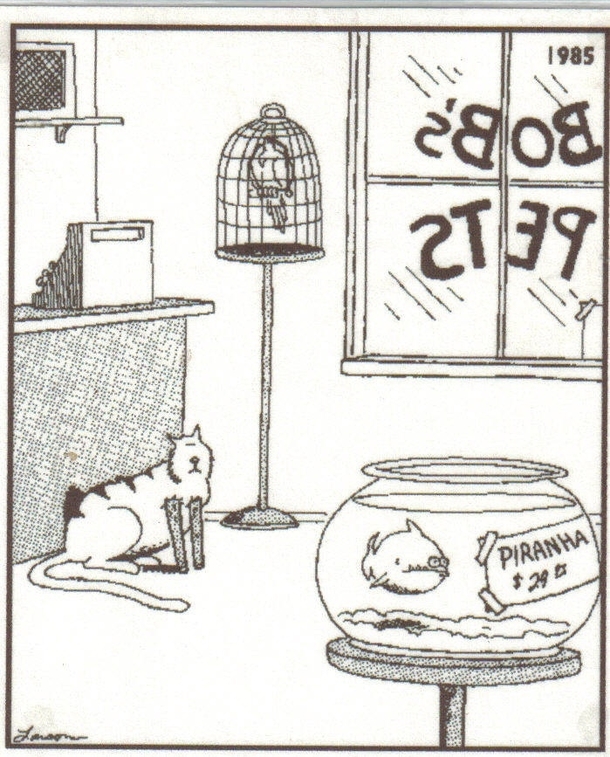one-of-the-funnier-far-side-comics-83890.jpg
