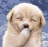 laugh7-1.gif