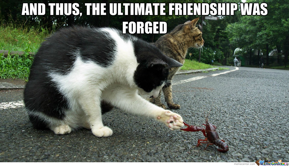 the-ultimate-friendship_o_2279455.jpg