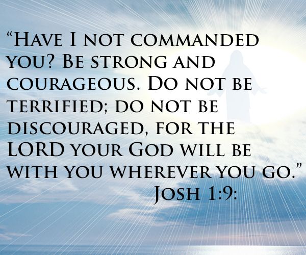 9efa3f536cc997d7b54f154d3b2497e3--daily-quotes-quotes-quotes.jpg