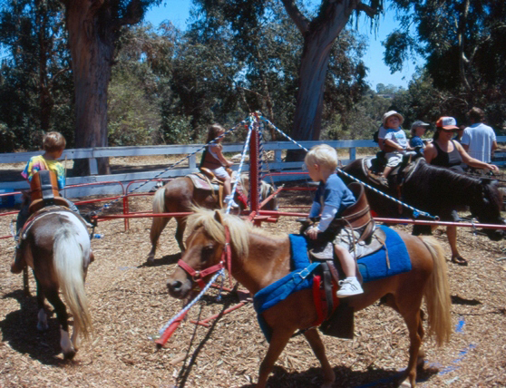 pony-rides-fairfax-va.jpg