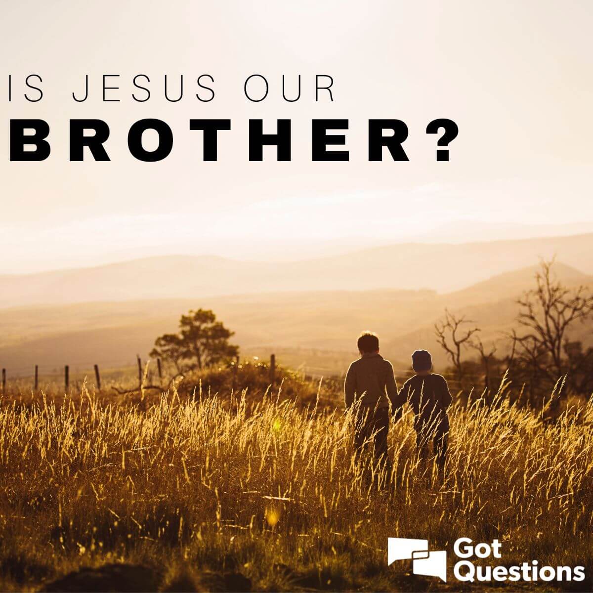 www.gotquestions.org