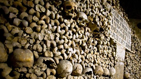 Catacombs of Paris