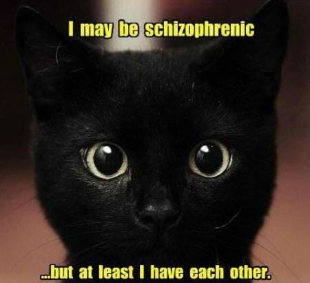 017-FUNNY-CAT-MEME.jpg