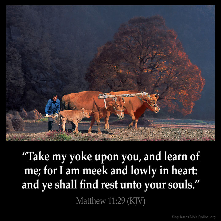 Matthew_11-29.jpg