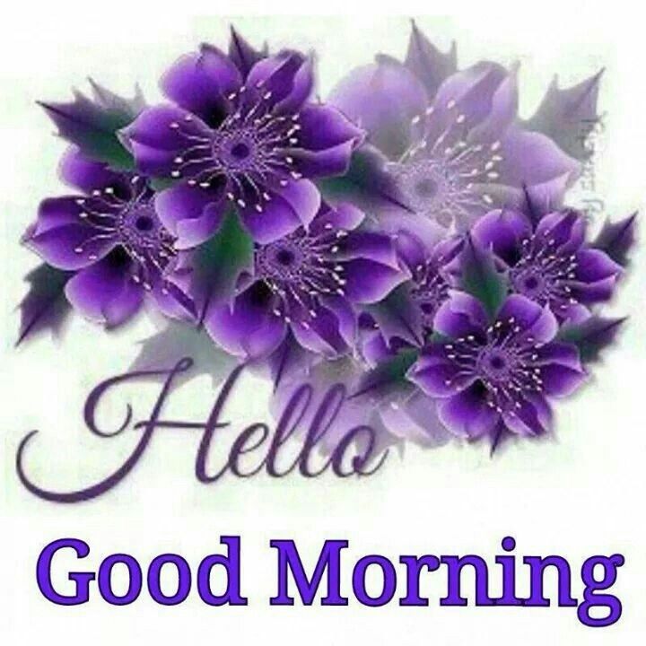 209442-Hello-Good-Morning.jpg