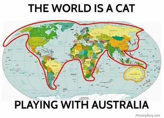 the-world-is-a-cat