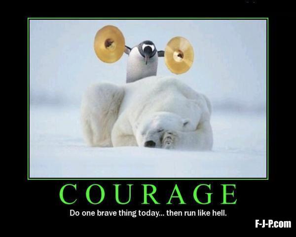 penguin-polar-bear-courage.jpg