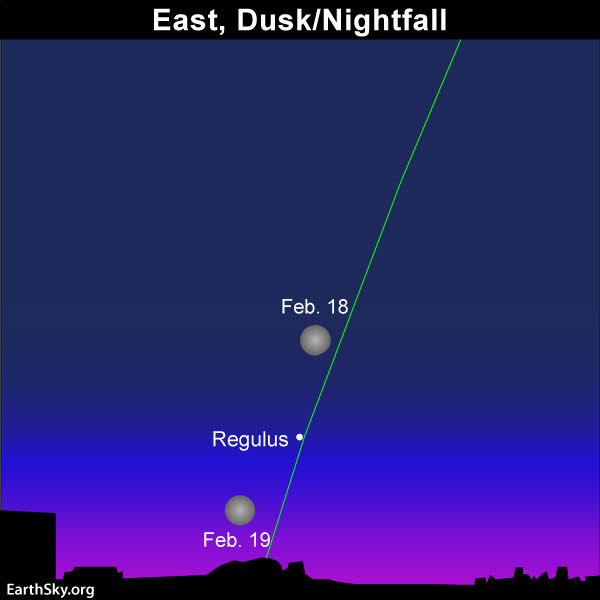 2019-feb-18-19-full-moon-and-regulus.jpg