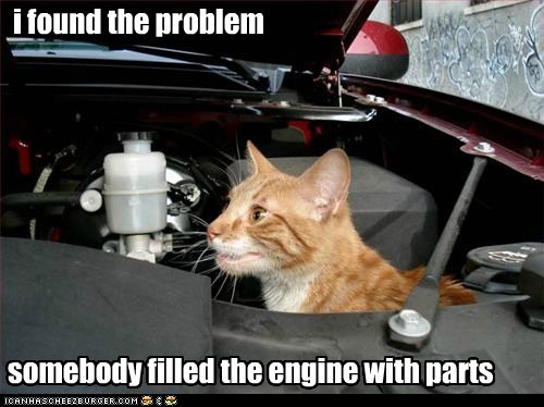 funny-cat-pictures-lolcats-mechanic-cat-is-on-the-job.jpg