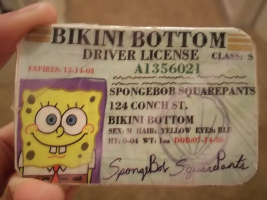 spongebob_drivers_licence_by_thraxbaby-d32m8ps.jpg